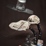 The Bisector® Bisecting Angle Tool Kit with X-Ray PAL® skull models